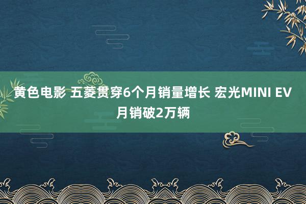 黄色电影 五菱贯穿6个月销量增长 宏光MINI EV月销破2万辆