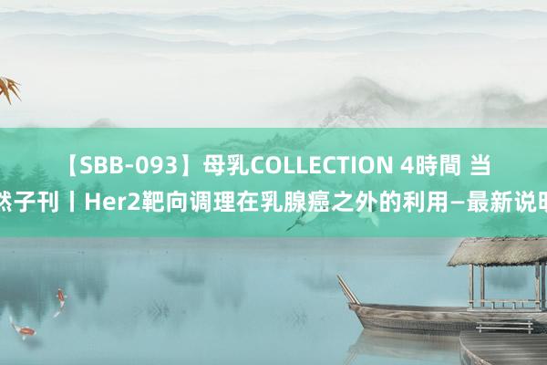 【SBB-093】母乳COLLECTION 4時間 当然子刊丨Her2靶向调理在乳腺癌之外的利用—最新说明