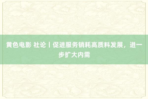 黄色电影 社论丨促进服务销耗高质料发展，进一步扩大内需