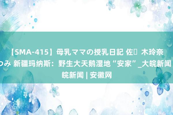 【SMA-415】母乳ママの授乳日記 佐々木玲奈 友倉なつみ 新疆玛纳斯：野生大天鹅湿地“安家”_大皖新闻 | 安徽网