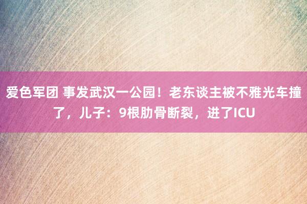 爱色军团 事发武汉一公园！老东谈主被不雅光车撞了，儿子：9根肋骨断裂，进了ICU