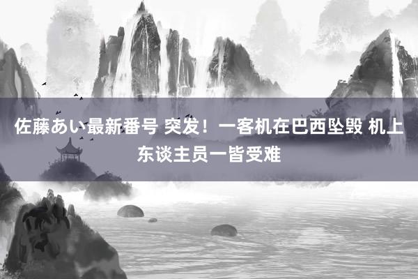 佐藤あい最新番号 突发！一客机在巴西坠毁 机上东谈主员一皆受难