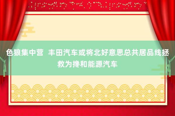 色狼集中营  丰田汽车或将北好意思总共居品线拯救为搀和能源汽车