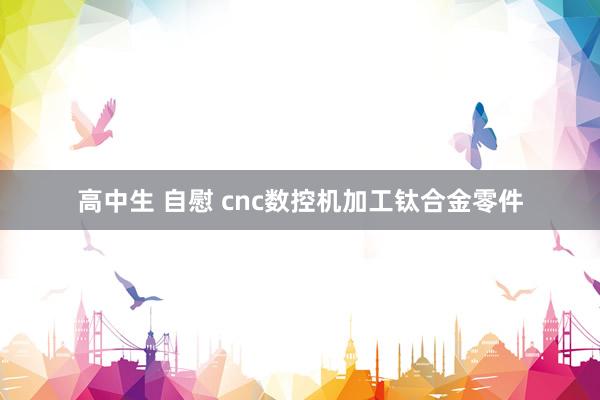 高中生 自慰 cnc数控机加工钛合金零件