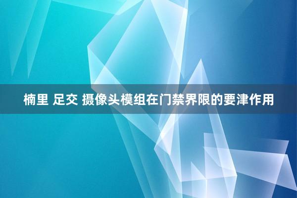 楠里 足交 摄像头模组在门禁界限的要津作用