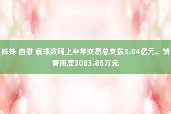 妹妹 自慰 寰球数码上半年交易总支拨3.04亿元，销售用度3083.86万元