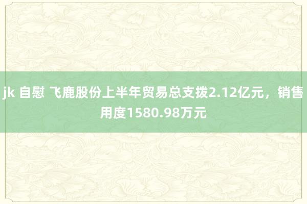 jk 自慰 飞鹿股份上半年贸易总支拨2.12亿元，销售用度1580.98万元