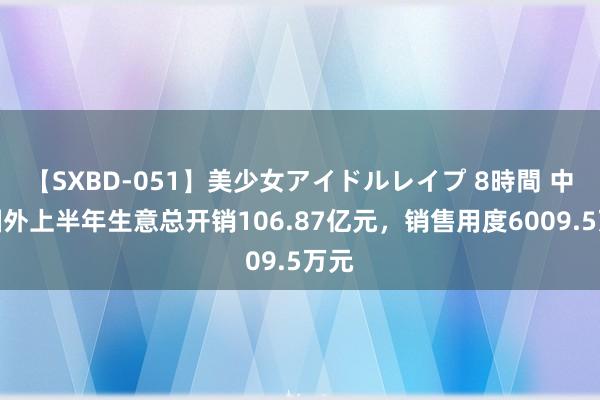 【SXBD-051】美少女アイドルレイプ 8時間 中铝国外上半年生意总开销106.87亿元，销售用度6009.5万元