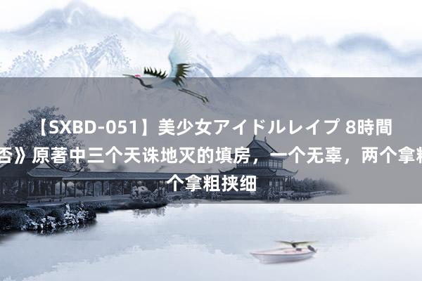 【SXBD-051】美少女アイドルレイプ 8時間 《知否》原著中三个天诛地灭的填房，一个无辜，两个拿粗挟细