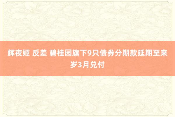 辉夜姬 反差 碧桂园旗下9只债券分期款延期至来岁3月兑付