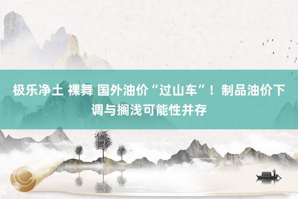 极乐净土 裸舞 国外油价“过山车”！制品油价下调与搁浅可能性并存