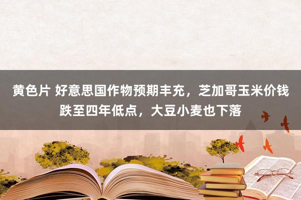 黄色片 好意思国作物预期丰充，芝加哥玉米价钱跌至四年低点，大豆小麦也下落