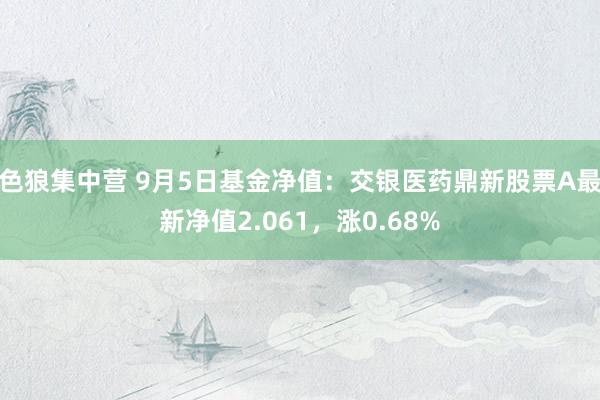 色狼集中营 9月5日基金净值：交银医药鼎新股票A最新净值2.061，涨0.68%