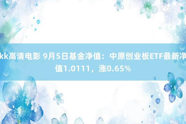 kk高清电影 9月5日基金净值：中原创业板ETF最新净值1.0111，涨0.65%