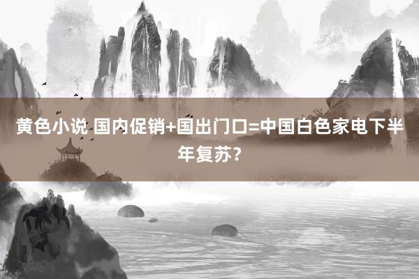 黄色小说 国内促销+国出门口=中国白色家电下半年复苏？