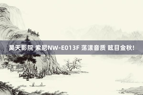 昊天影院 索尼NW-E013F 荡漾音质 眩目金秋!