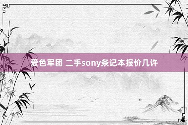 爱色军团 二手sony条记本报价几许