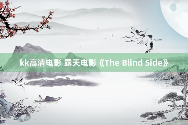 kk高清电影 露天电影《The Blind Side》