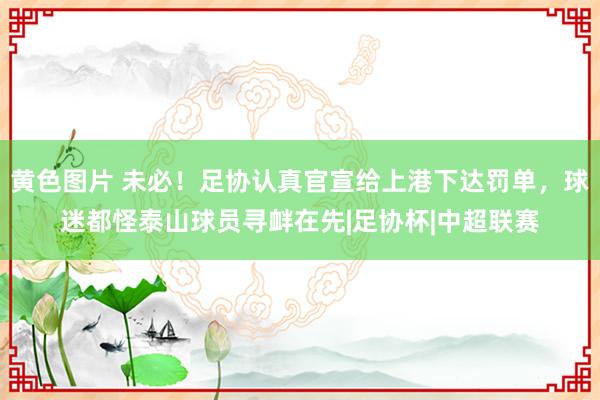 黄色图片 未必！足协认真官宣给上港下达罚单，球迷都怪泰山球员寻衅在先|足协杯|中超联赛