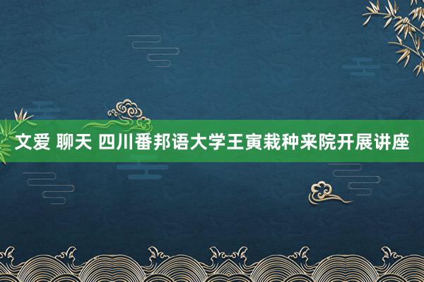 文爱 聊天 四川番邦语大学王寅栽种来院开展讲座